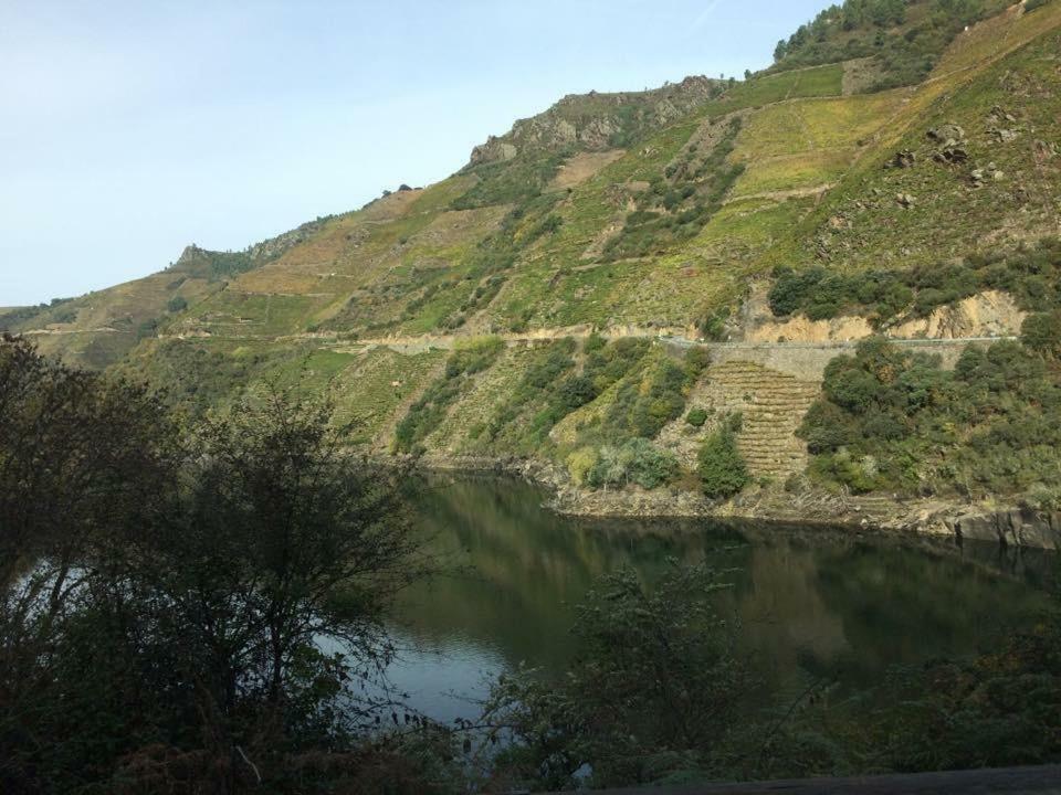 Acogedor Apartamento Ribeira Sacra Монфорте-де-Лемос Екстер'єр фото